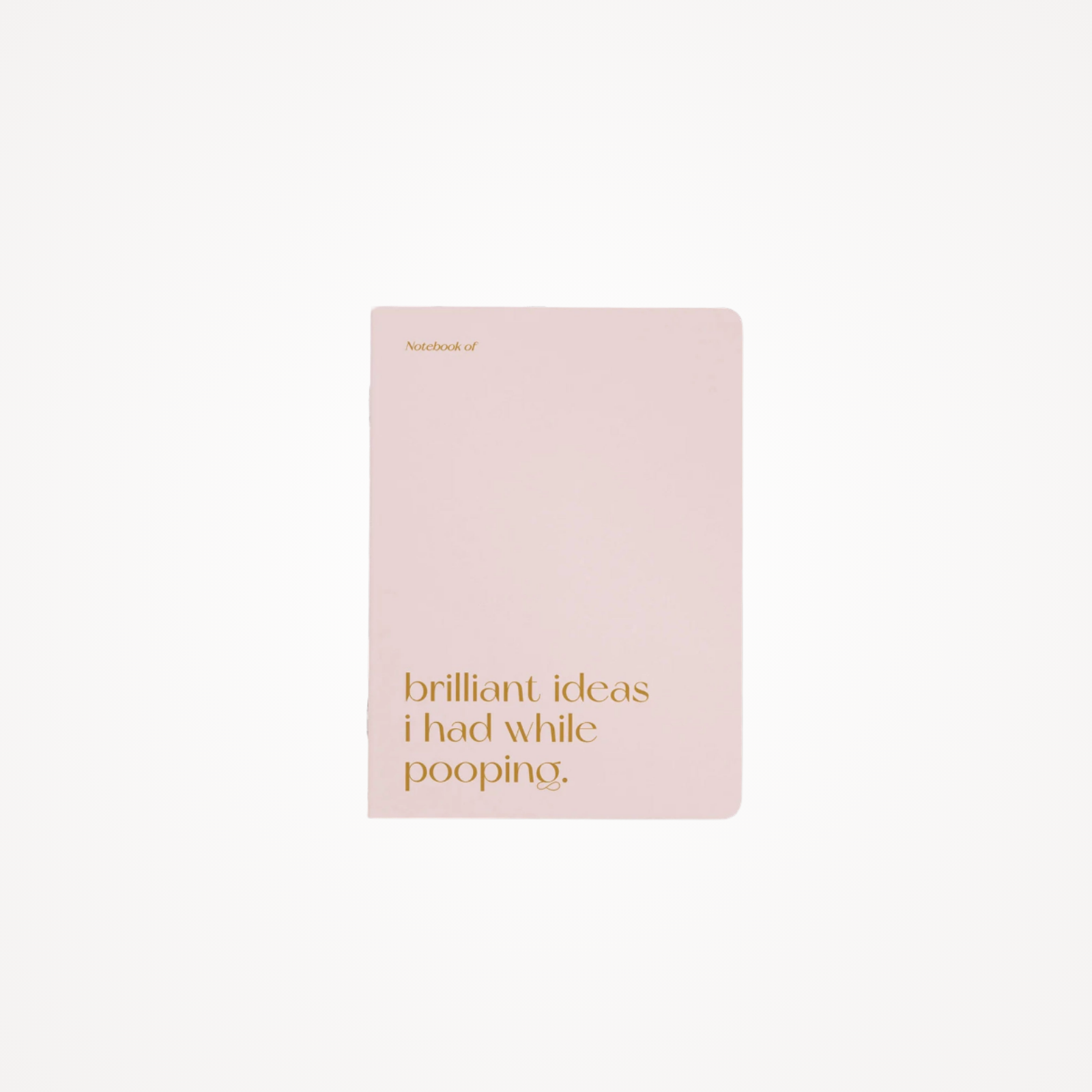 Carnet A5 40 pages · Brilliant ideas I had while pooping