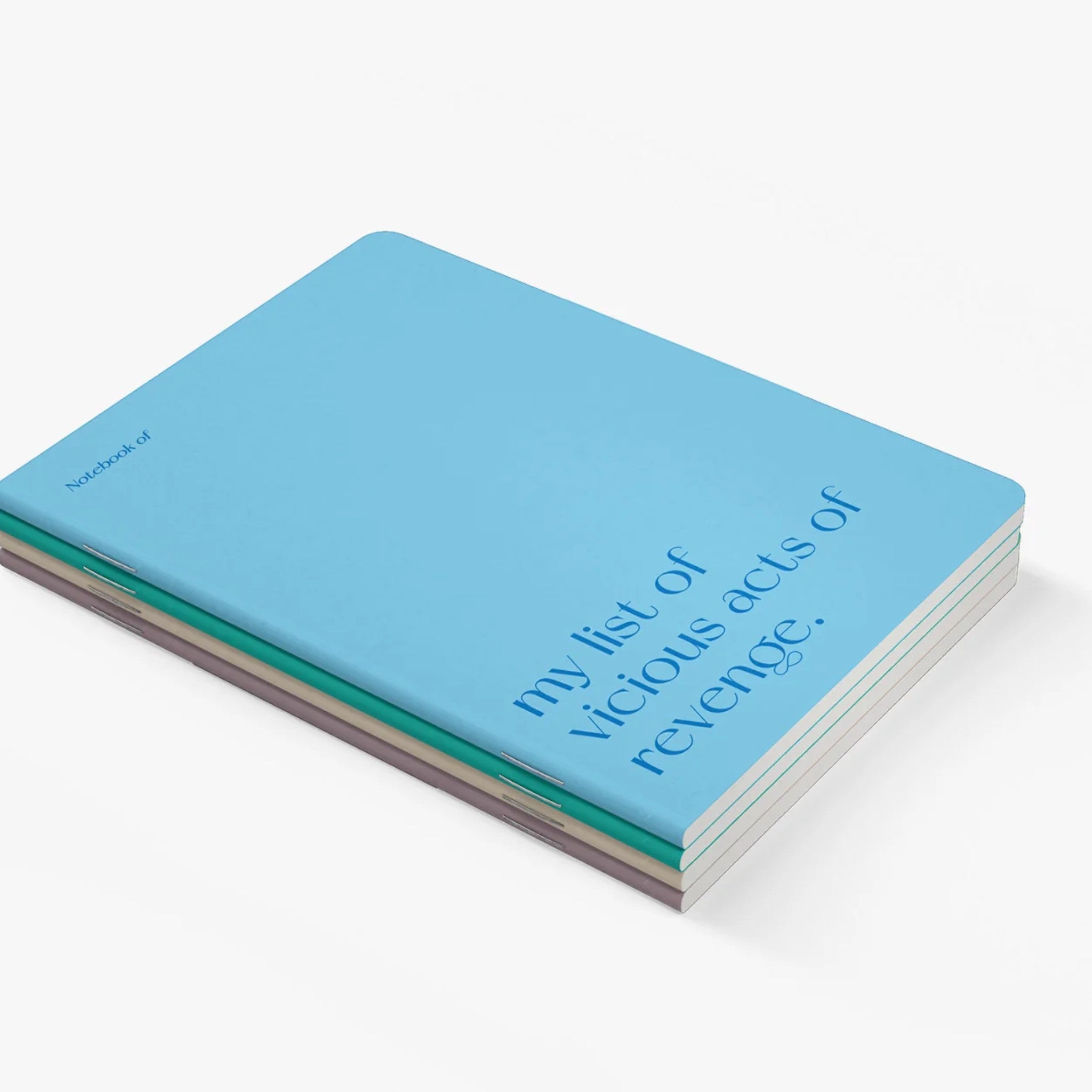 Carnet A5 40 pages · My list of vicious acts of revenge